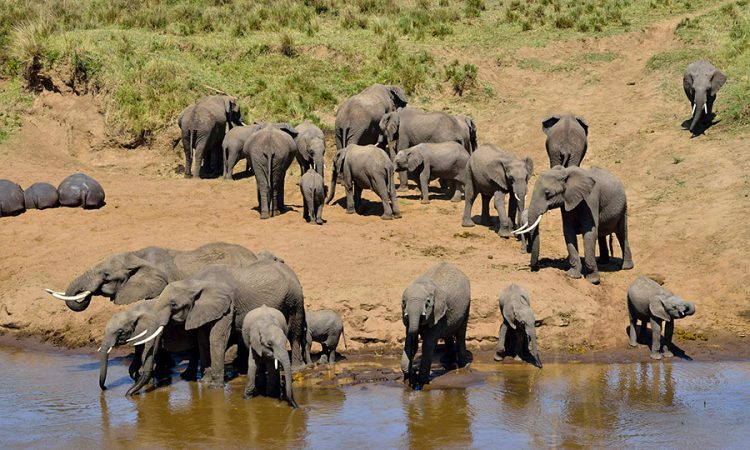 Facts about Tarangire National Park