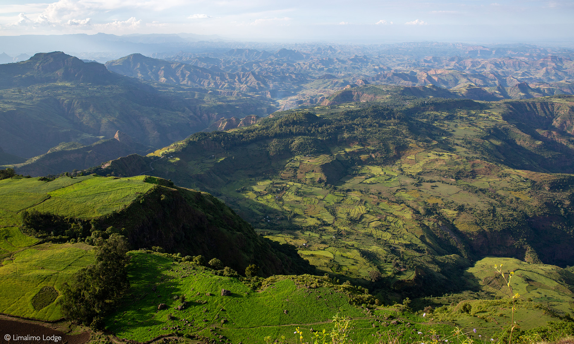 Exploring the Majestic Mountains of Africa