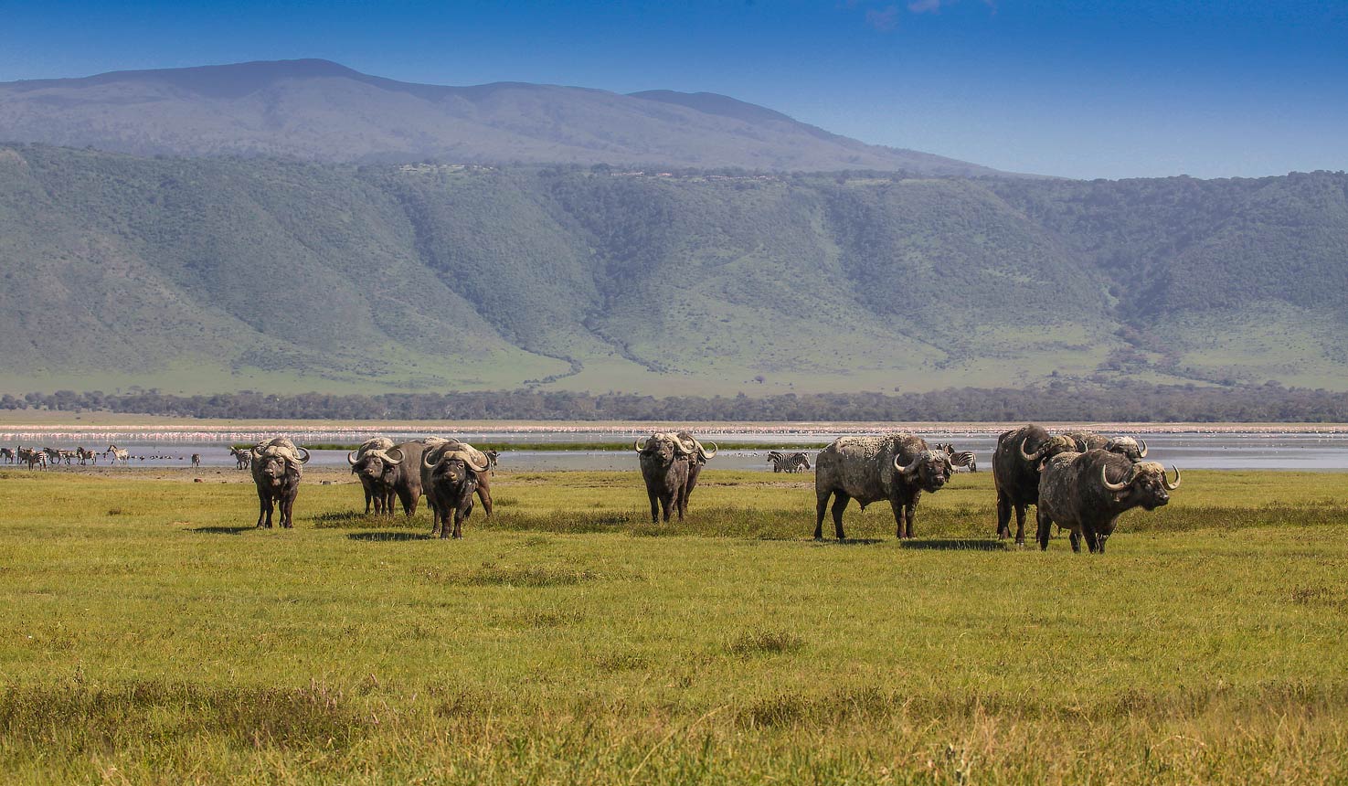 Transfer from Ngorongoro to Karatu: Day 6 of Your Luxury Safari